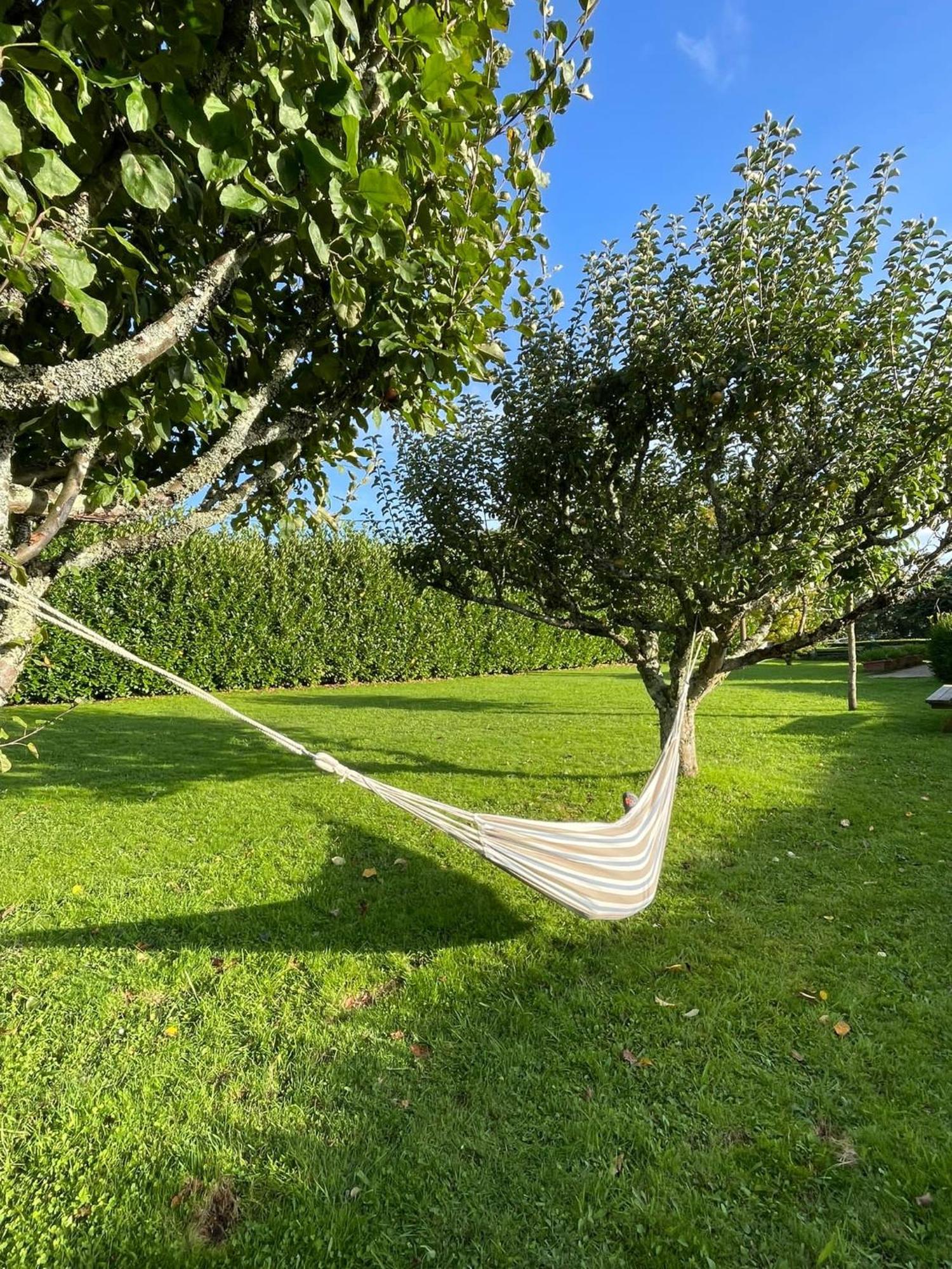 Villa La Casa Da Pipa à Cesuras Extérieur photo
